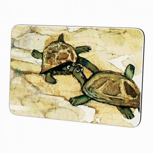 Turtles
