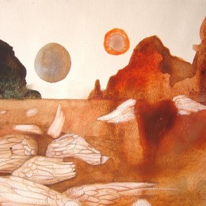 Desert Wings
